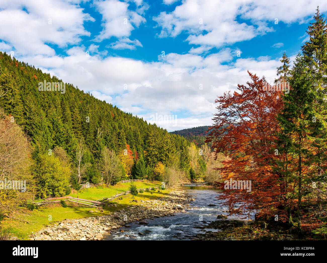 Mountain River an schönen Herbsttag. schöne Landschaft der Karpaten Stockfoto