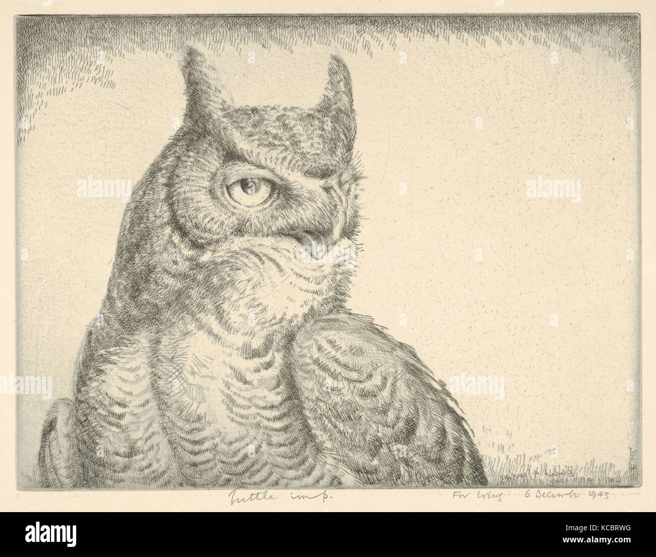 Horned Owl (Porträt Great Horned Owl), Henry Emerson Tuttle, 1940 Stockfoto