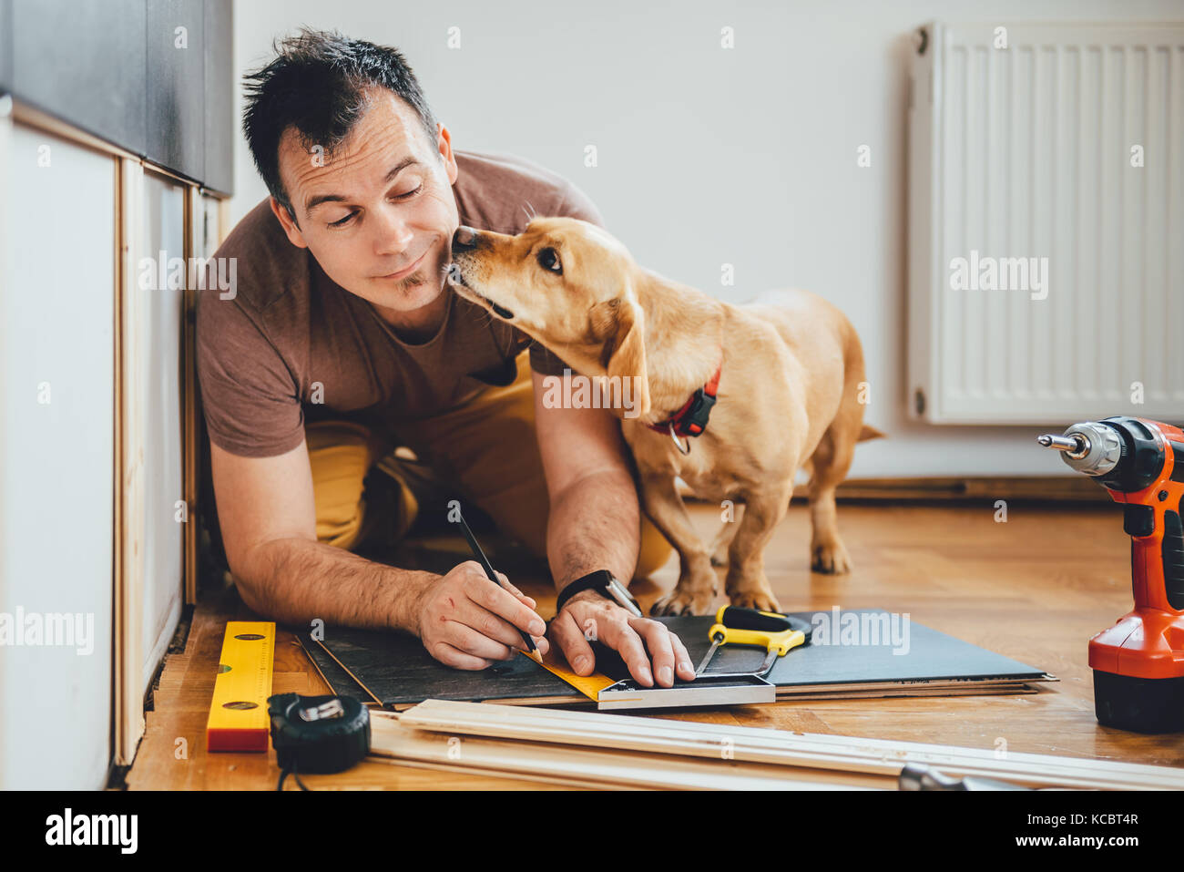 Mann tun Renovierungsarbeiten zu Hause zusammen mit seinen kleinen gelben Hund Stockfoto