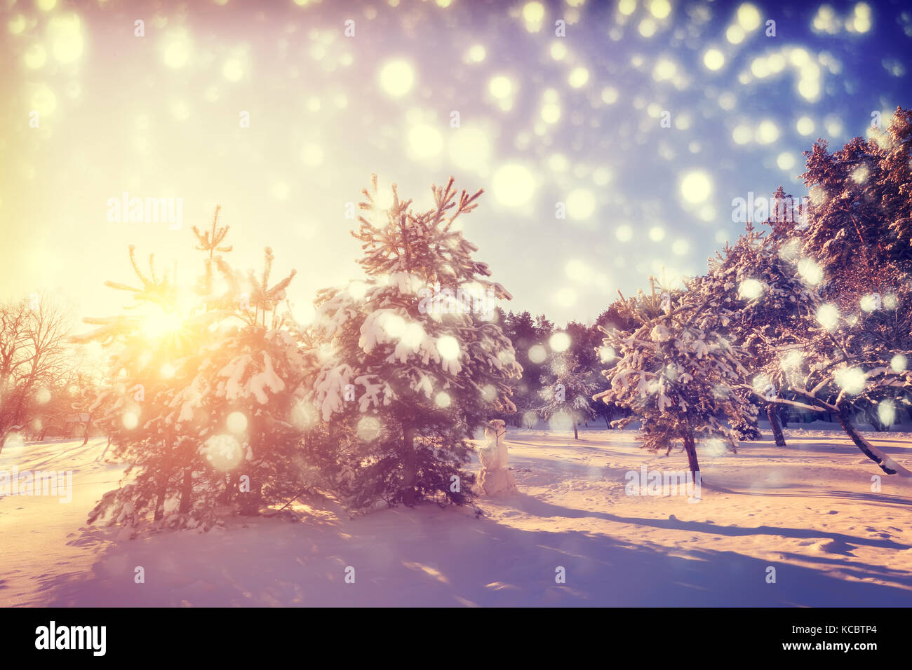 Weihnachten Morgen im Park. bunte Schneeflocken auf verschneiten Weihnachtsbäume Hintergrund. Lebendige xmas Sonnenaufgang. Schönes Neues Jahr und Weihnachten Hintergrund. Stockfoto