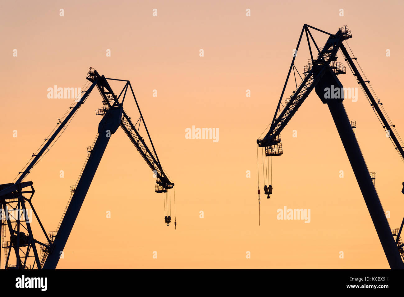 Krane, Werft, Überseehafen, Rostock, Mecklenburg-Vorpommern, Deutschland Stockfoto