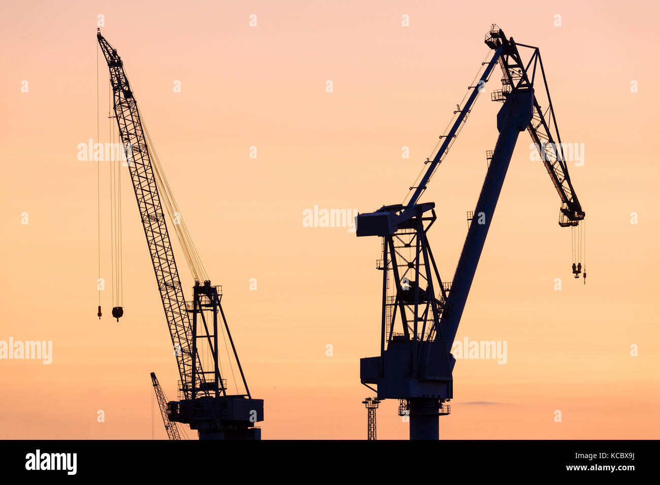 Krane, Werft, Überseehafen, Rostock, Mecklenburg-Vorpommern, Deutschland Stockfoto