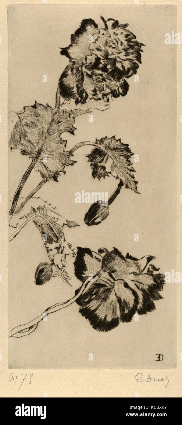 Zeichnungen und Drucke, Drucken, Blumen (Fleurs), L'Estampe Originale, Album V, Künstler, Verleger, Ernest-Ange Duez, André Marty Stockfoto