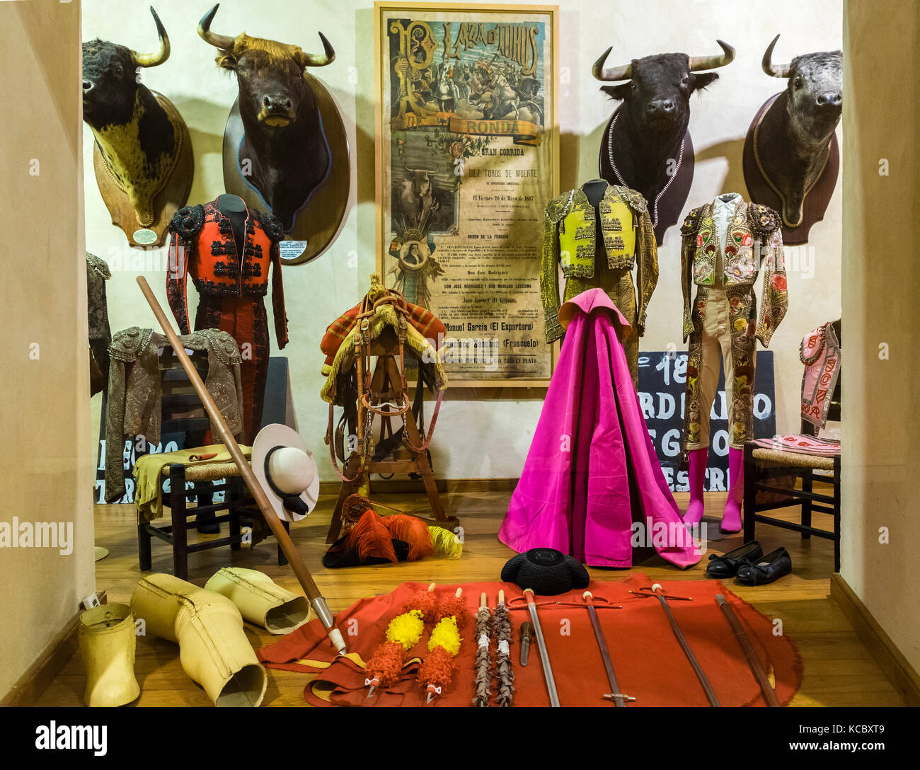 Vitrine berühmter Stiere und Exponate bedeutender Stierkämpfer, Museum Museo Taurino de Ronda, Stierkampfarena, Ronda Stockfoto