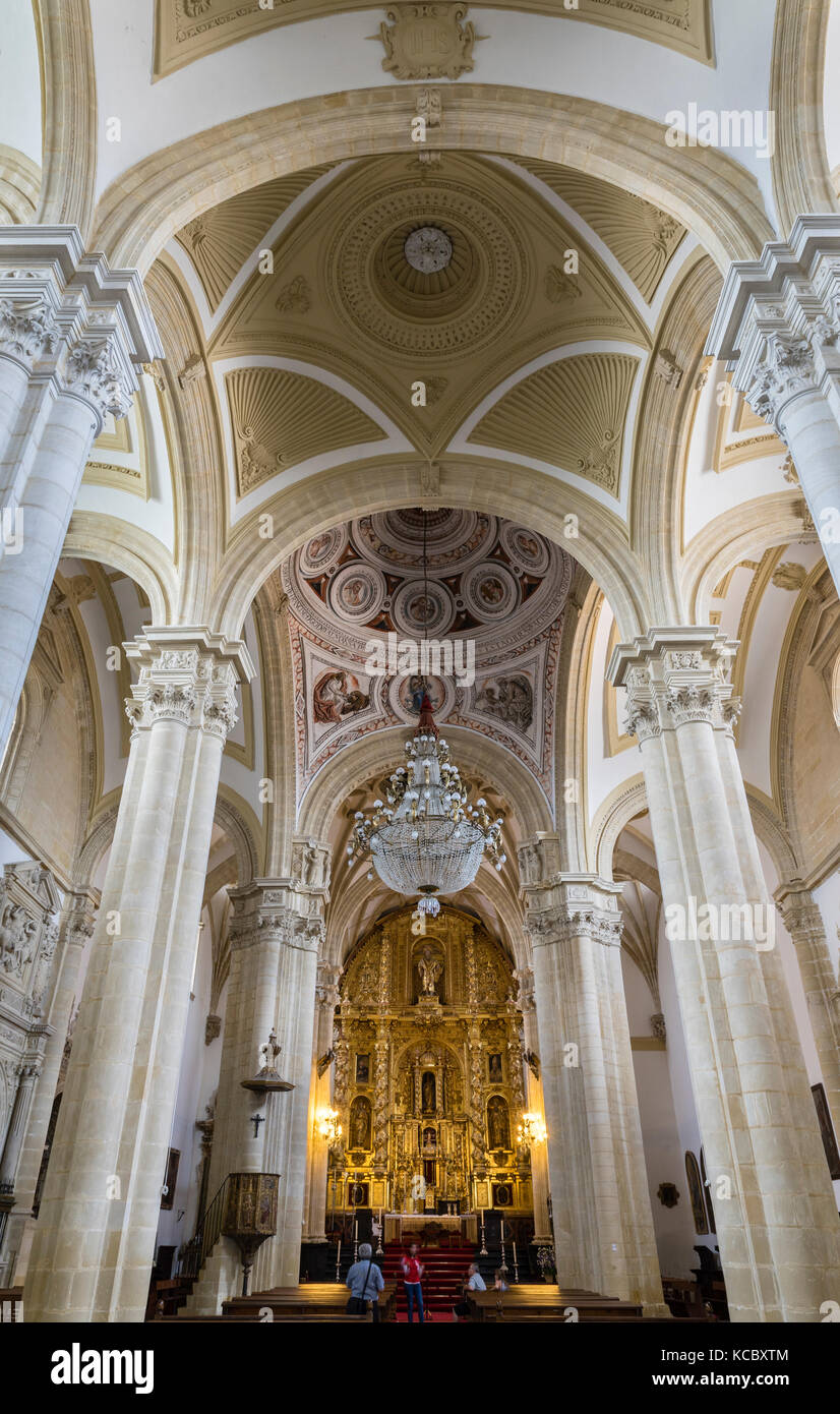 Langhaus und Hochaltar, Catedral de Santa Maria, Baeza, UNESCO-Weltkulturerbe, Provinz Jaén, Andalusien, Spanien Stockfoto