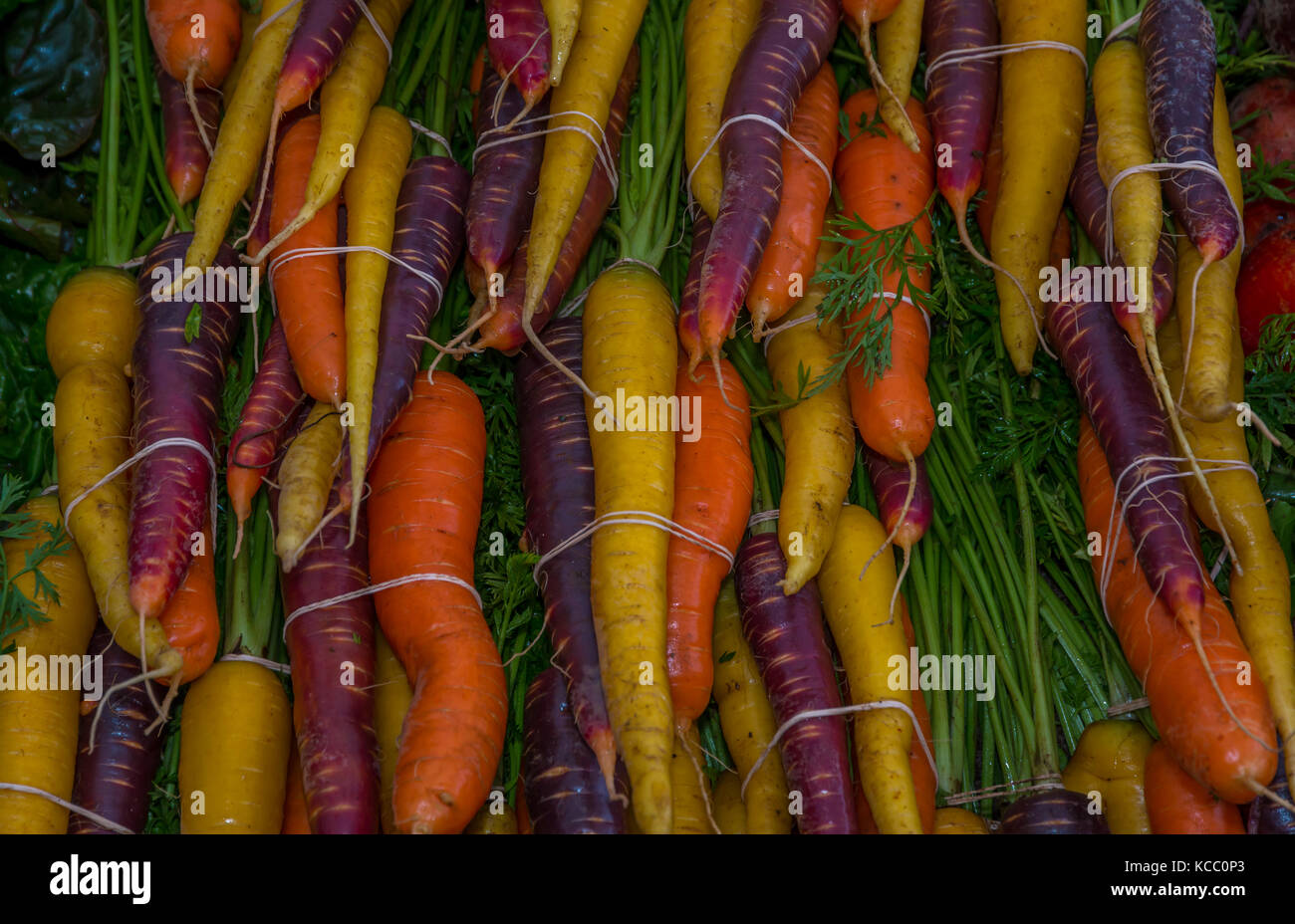 Organische Erbstück Karotten für Verkauf am Markt Stockfoto