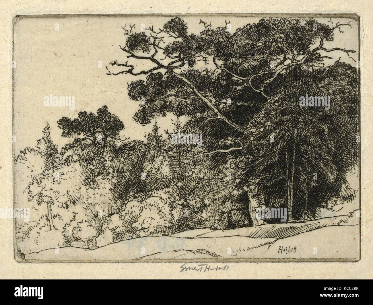 Zeichnungen und Drucke, Drucken, Brown's Oak, Künstler, Ernest Haskell, Amerikanische, Woodstock, Connecticut 1876 - 1925 West Point, Maine Stockfoto