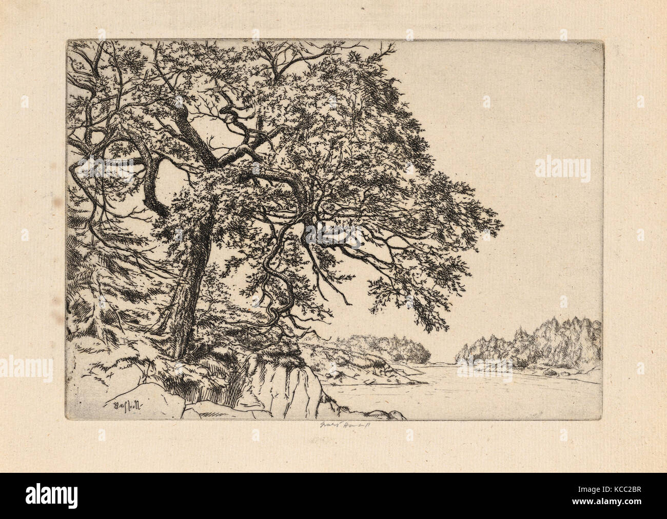 Zeichnungen und Drucke, Drucken, Marin's Oak, Künstler, Ernest Haskell, Amerikanische, Woodstock, Connecticut 1876 - 1925 West Point, Maine Stockfoto