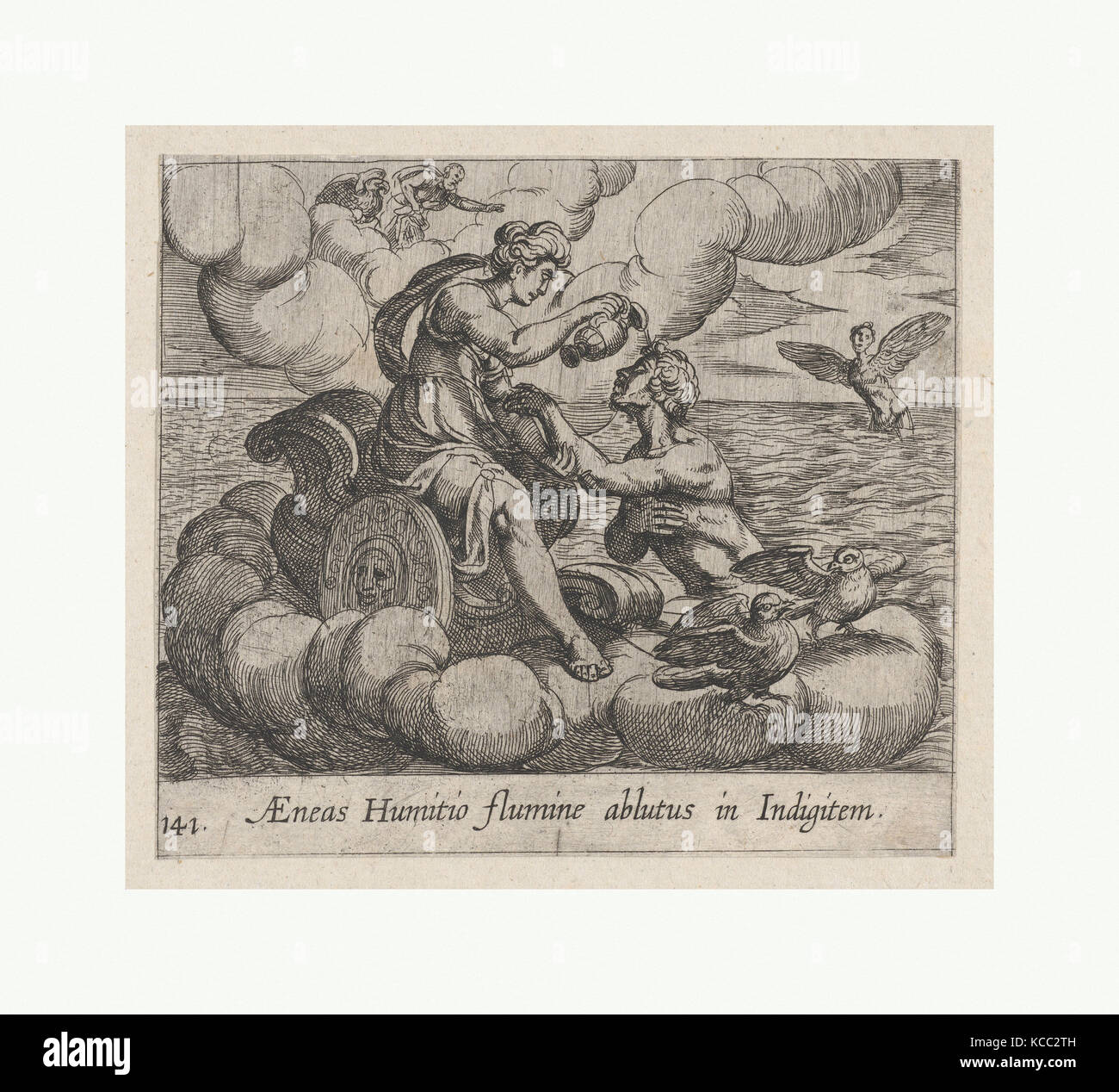 Aeneas aeneas Fotos und Bildmaterial in hoher Auflösung Alamy