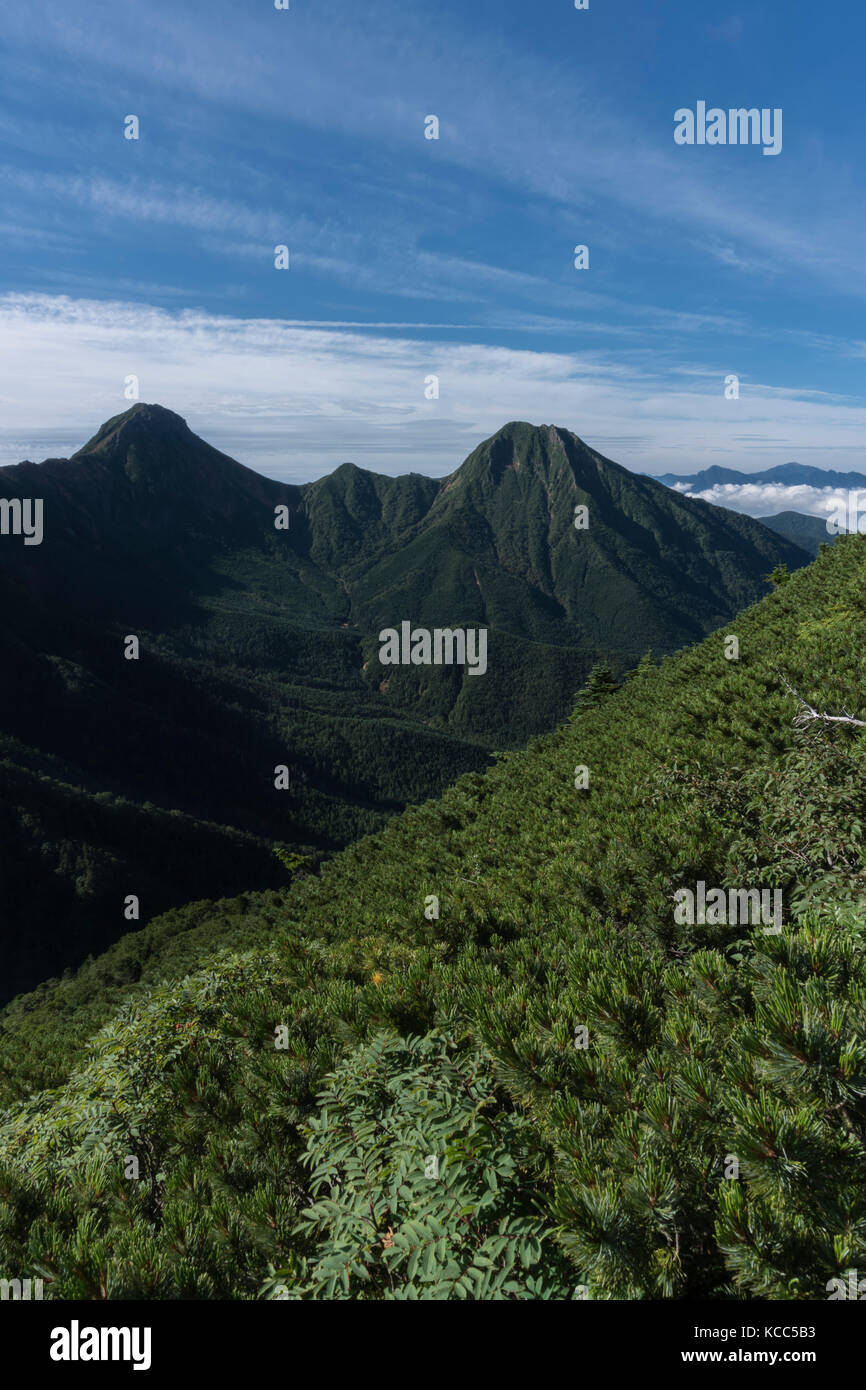 Berge in frischem Grün im Sommer morgen am Yatsugatake Berg Gruppe, Präfektur Nagano, Japan Stockfoto