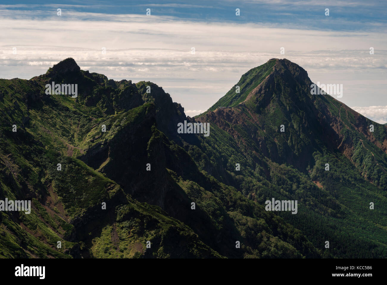 Berge in frischem Grün im Sommer morgen am Yatsugatake Berg Gruppe, Präfektur Nagano, Japan Stockfoto