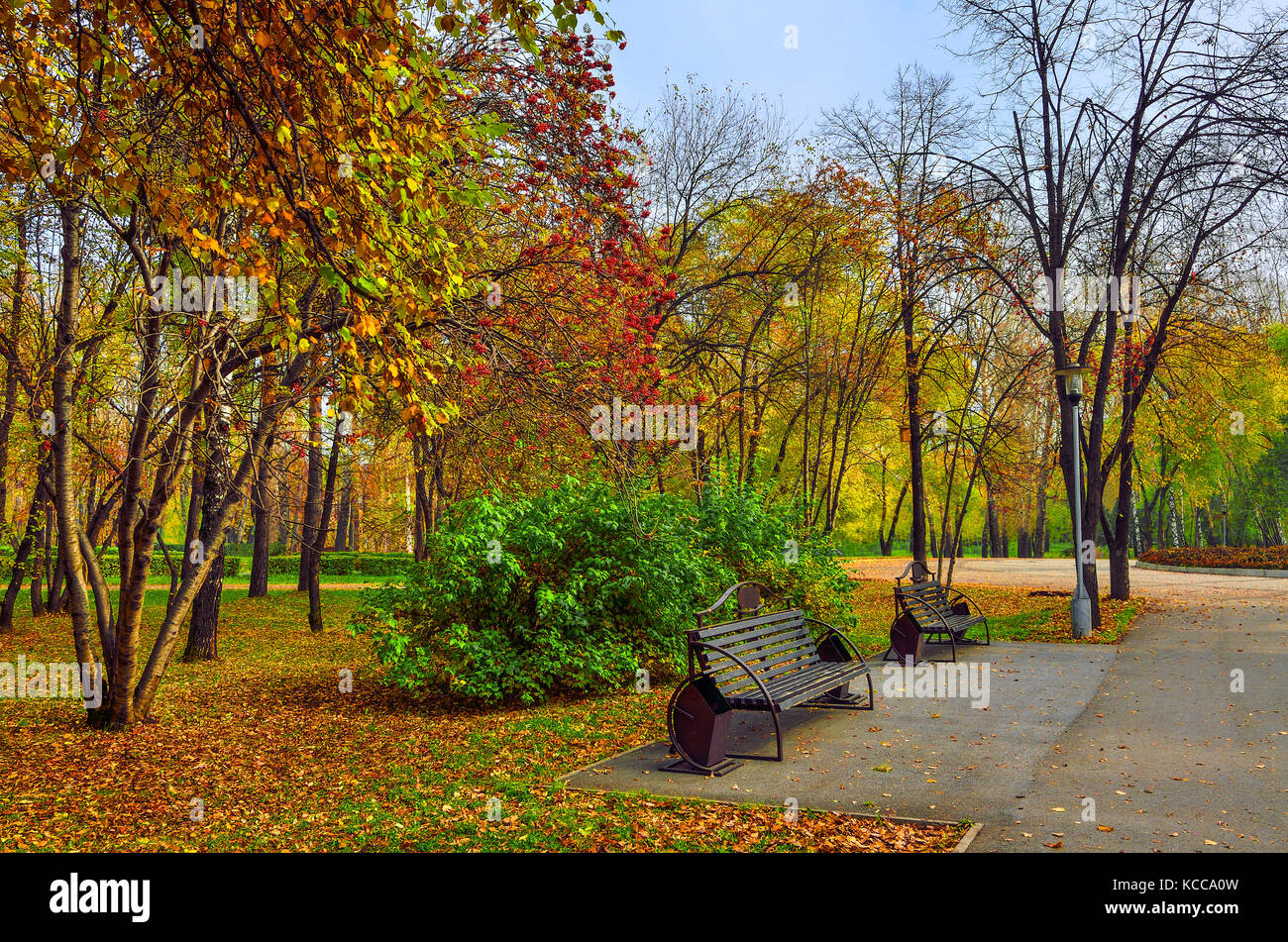 Gemütliche Ecke herbst Park mit der Bank unter Rowan Tree Branches mit Büscheln von roten Beeren. Stockfoto