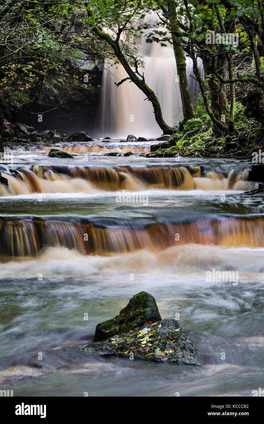 Summerhill Kraft, Bowlees, Teesdale, County Durham, UK. Stockfoto