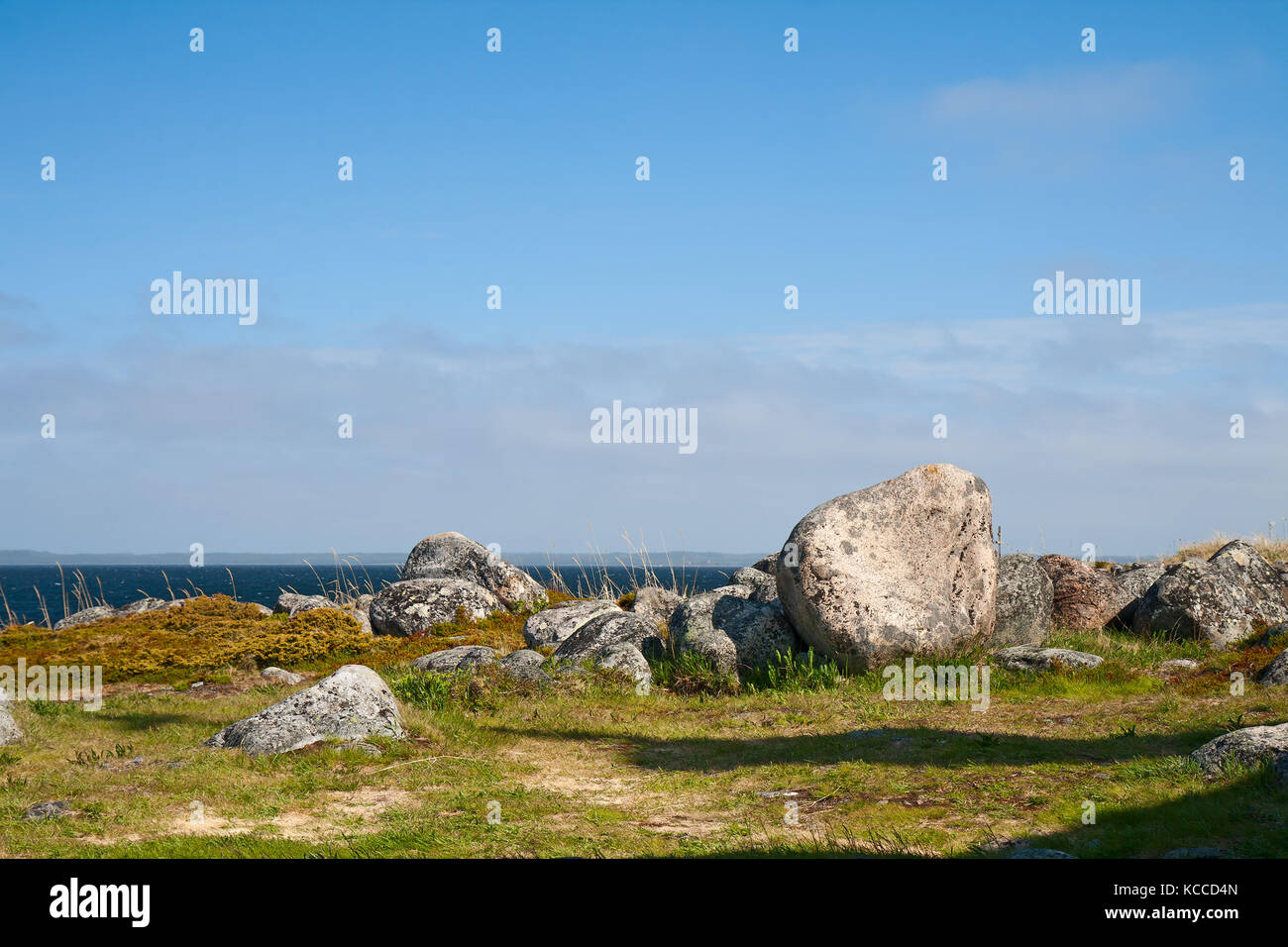 Die Natur des russischen Nordens. Die grosse Insel zayatsky, Archipel der Solovetsky Inseln. Stockfoto