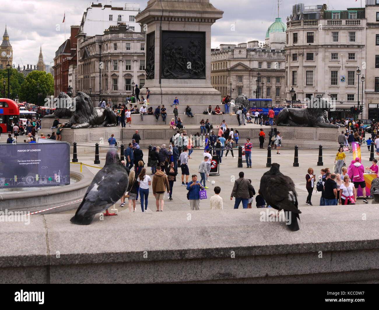 Trafalgar Square in london Stockfoto