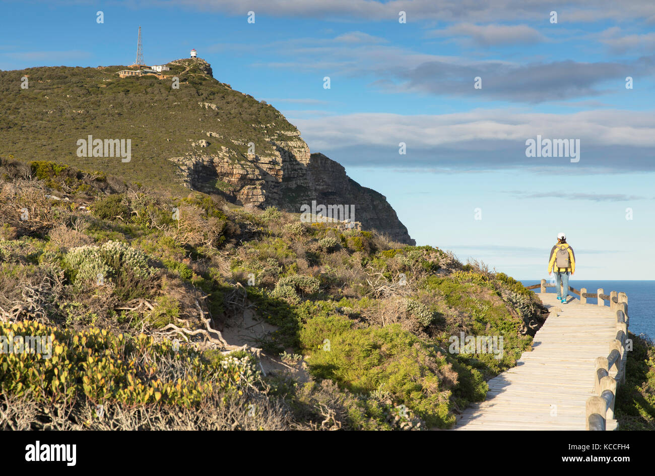 Frau Wandern am Kap der Guten Hoffnung, Cape Point Nationalpark, Kapstadt, Western Cape, Südafrika (mr) Stockfoto