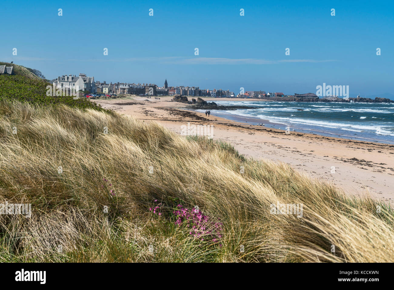 Auf der Suche nach Westen entlang North Berwick Strand, East Lothian, Schottland, Großbritannien. Stockfoto