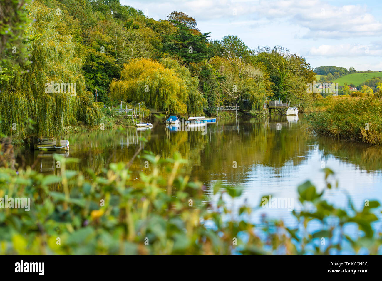 Fluss Szene im Herbst mit Bäumen im Wasser am Fluss Arun, Arundel, West Sussex, England, Großbritannien widerspiegeln. Stockfoto