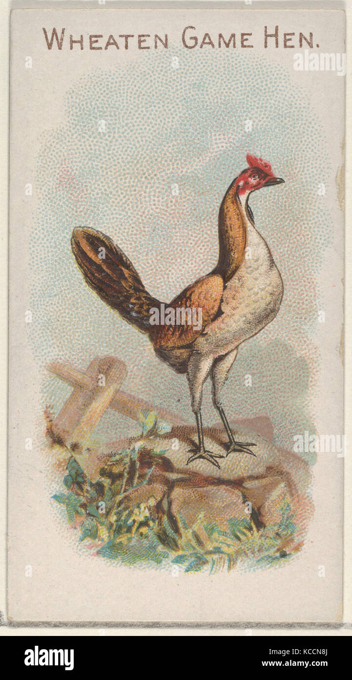 Wheaten Spiel Henne, vom Preis und Spiel Hühner-Serie (N20) bei Allen&Ginter Zigaretten, 1891 Stockfoto