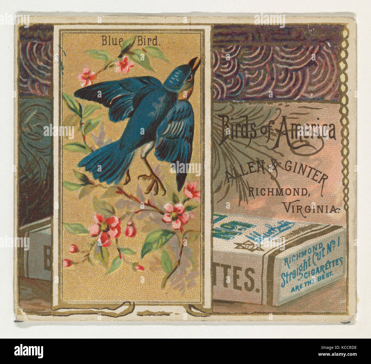 Bluebird, von den Vögeln von Amerika Serie (N37) bei Allen&Ginter Zigaretten, 1888 Stockfoto