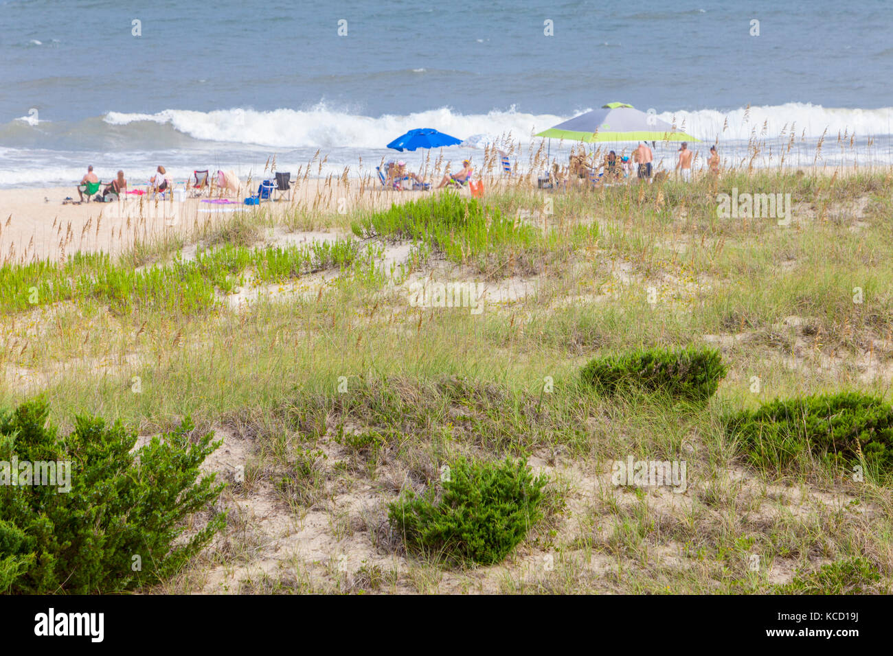Avon, Outer Banks, North Carolina, USA. Vegetation stabilisiert die Düne von eine Sperre Insel, während Familien entspannen Sie sich am Strand. Stockfoto