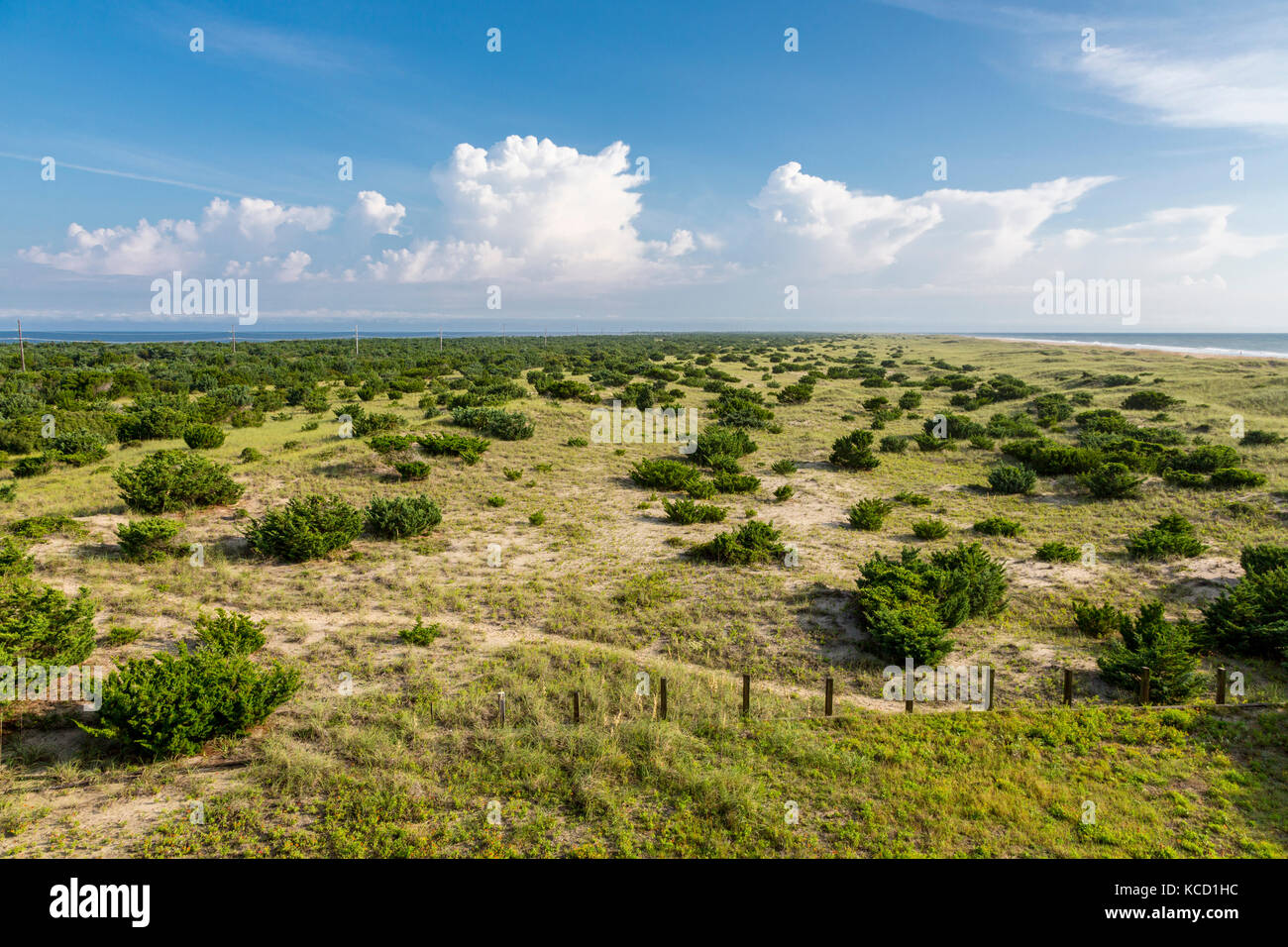 Avon, Outer Banks, North Carolina, USA. Vegetation auf einer vorgelagerten Insel stabilisiert die Dünen. Atlantik oben rechts, Currituck Sound oben links. Stockfoto