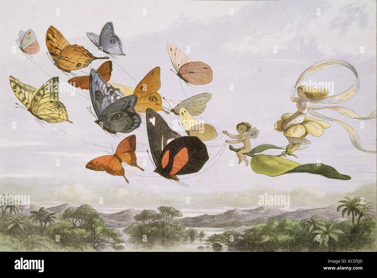 Der Fairy Queen nimmt eine luftige Fahrt im Licht der Beförderung eine zwölf-in-Hand, gezeichnet von Reinrassigen Schmetterlinge, Richard Doyle Stockfoto