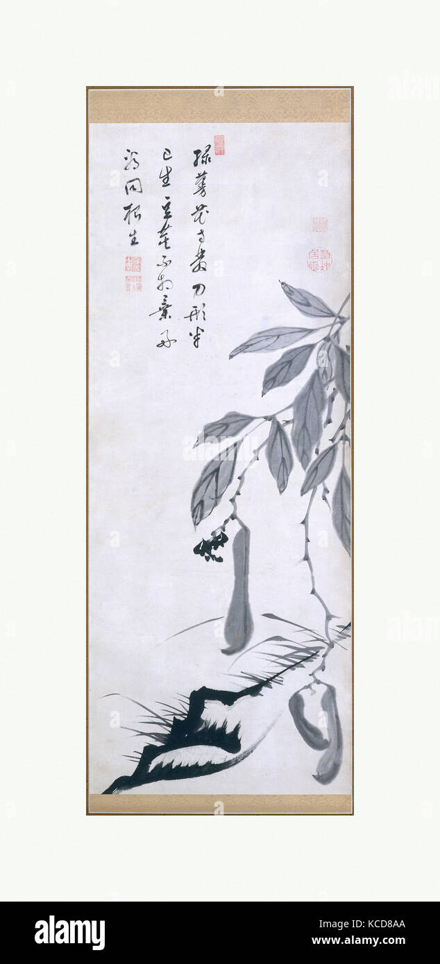 Bean Vine, Edo Periode (1615 - 1868), aus dem 18. Jahrhundert, Japan, Hängerolle, Tusche auf Papier, Bild: 49 1/2 x 18 7/8 in. (125,7 x 47,9 Stockfoto