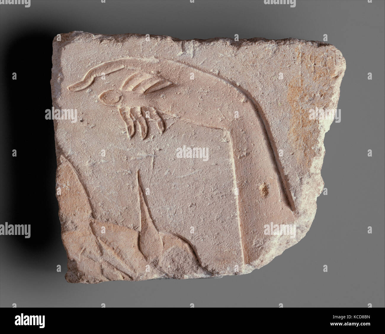 Royal Hand, Neues Reich, Amarna-zeit, Dynastie 18, Ca. 1353 - 1336 v. Chr., aus Ägypten; wahrscheinlich ab Mitte Ägypten, Hermopolis Stockfoto