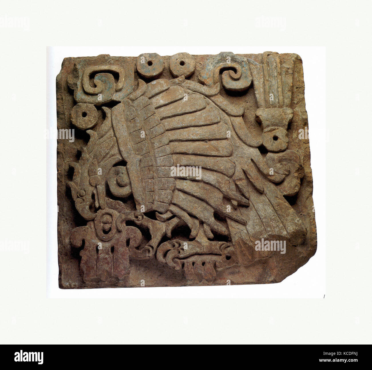 Adler Relief, 10. - 13. Jahrhundert, Mexiko, Tolteken, Andesit/Dazit, Farbe, H. 27 1/2x W. 29 1/2 in. (69.85 x 74.93 cm), Stein Stockfoto