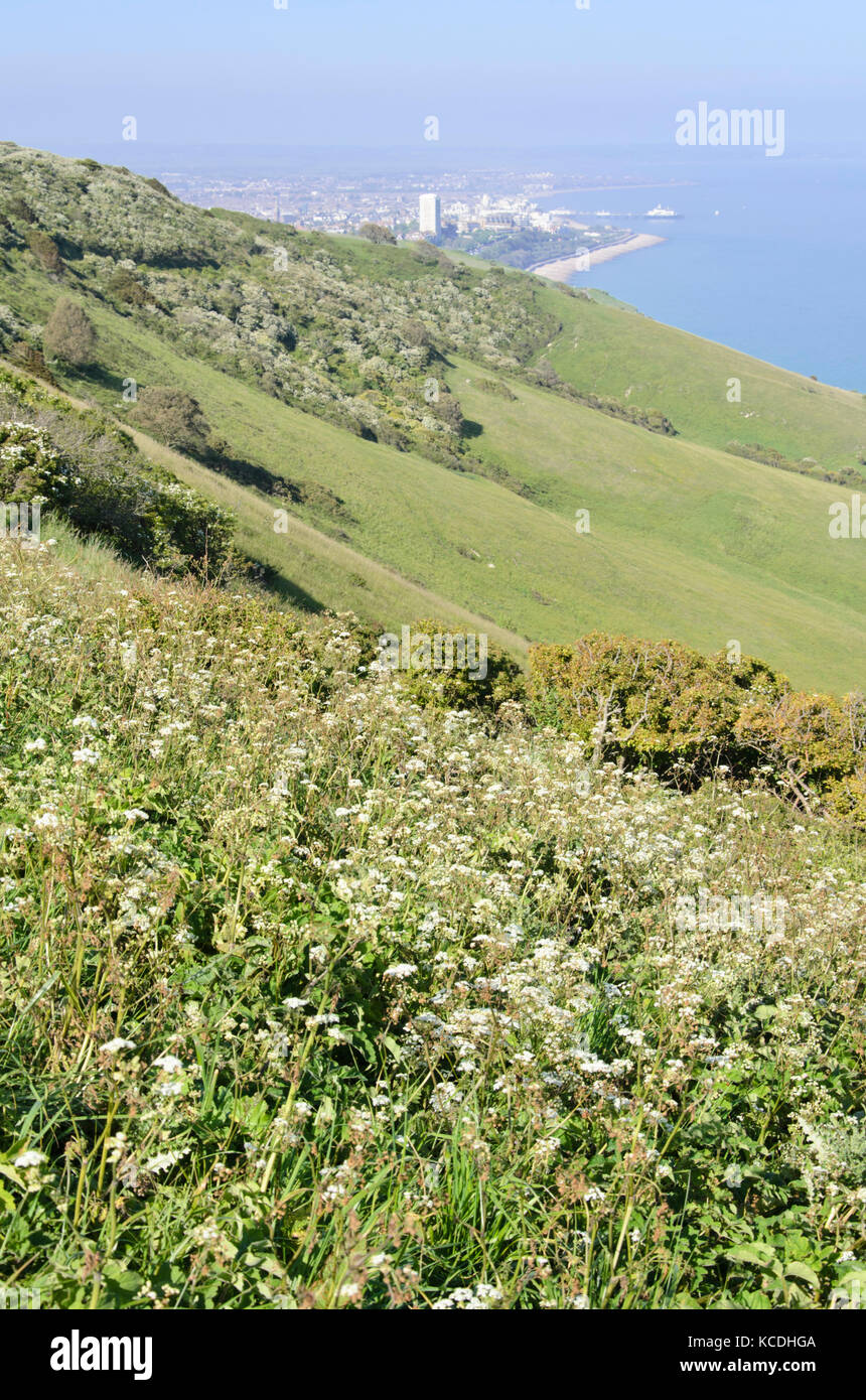 Küstenlandschaft, Beachy Head, South Downs National Park, Großbritannien Stockfoto