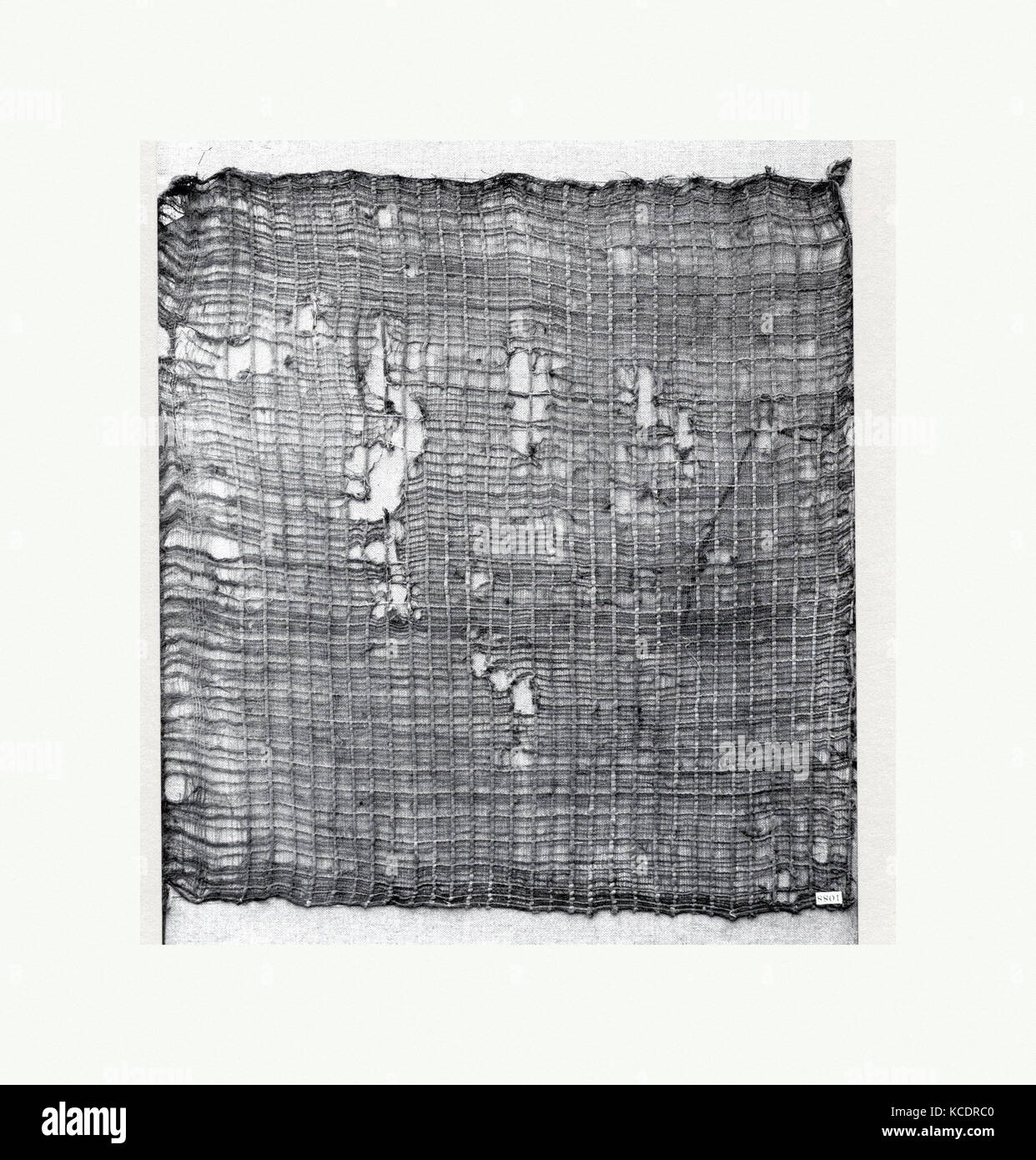 Gaze Panel, 10. - 15. Jahrhundert, Peru, Lima, Peru; Provinz Central Coast (?), Baumwolle Gaze, Gesamt: 27 1/4 x 20 in. (69.22 x 50 Stockfoto
