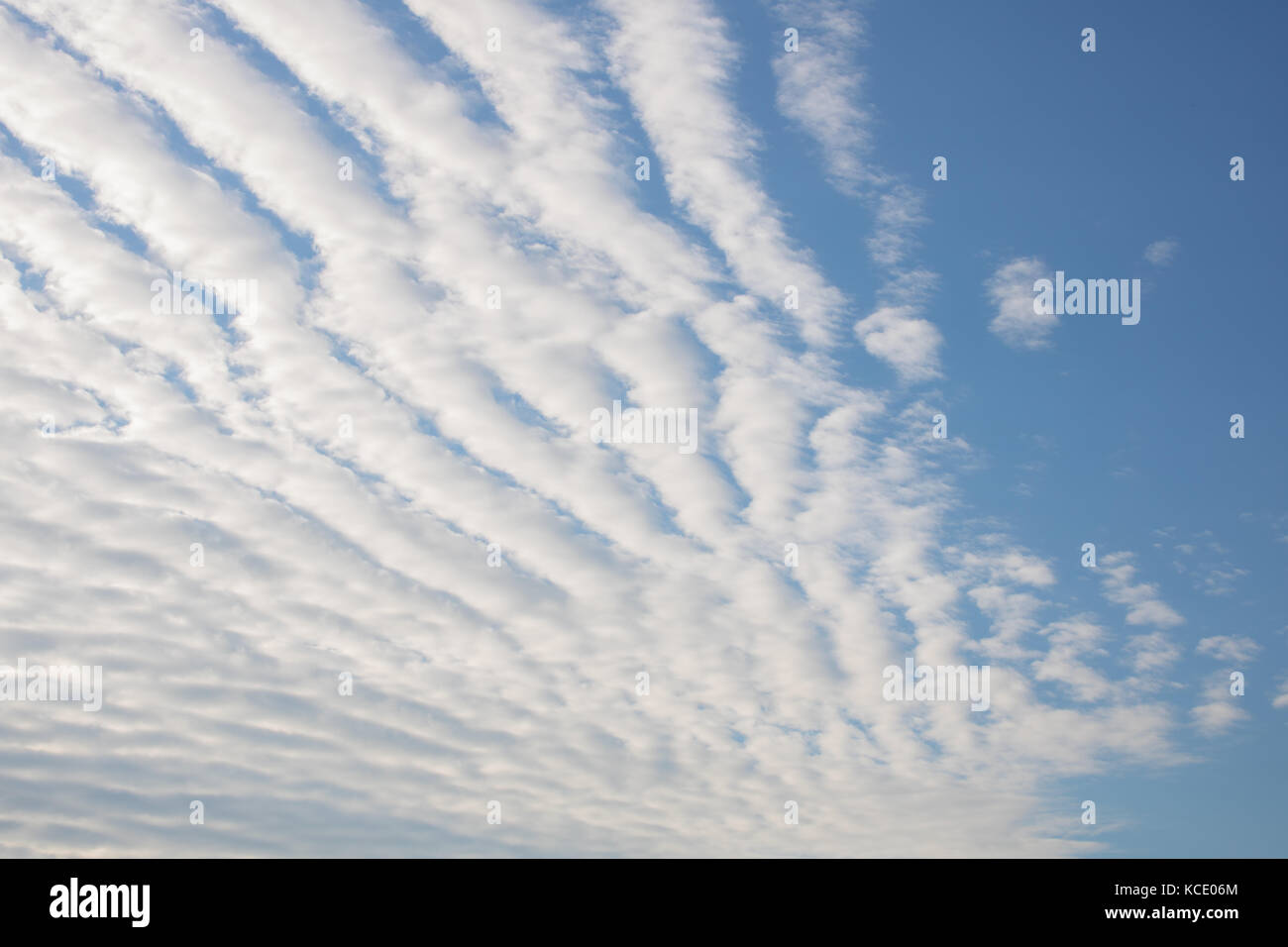 Altocumulus stratiformis undulatus Wolken Stockfoto