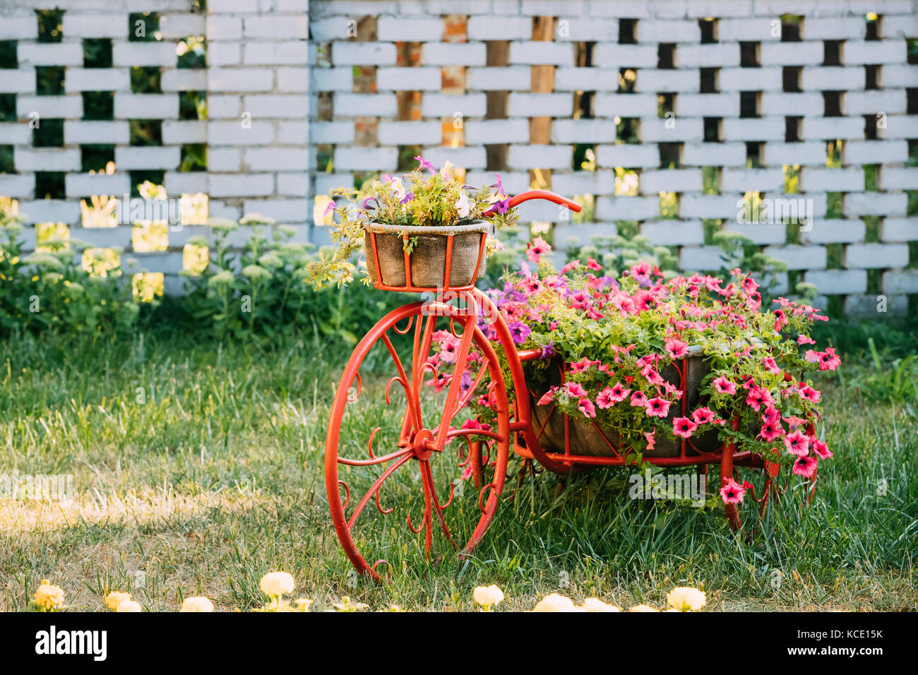 Dekorative vintage Modell altes Fahrrad ausgestattete Korb Blumen Garten. getönten Foto. Stockfoto