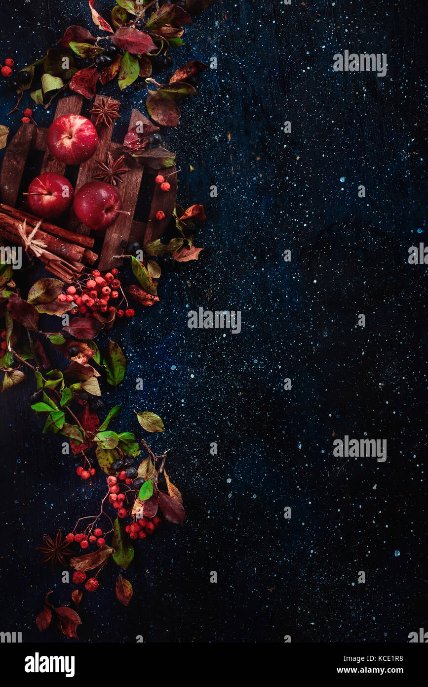 Dunkle floral background mit kleinen Äpfeln, Blätter, Beeren, Rowan, Zimt und Zutaten für den Herbst warme Getränke Stockfoto