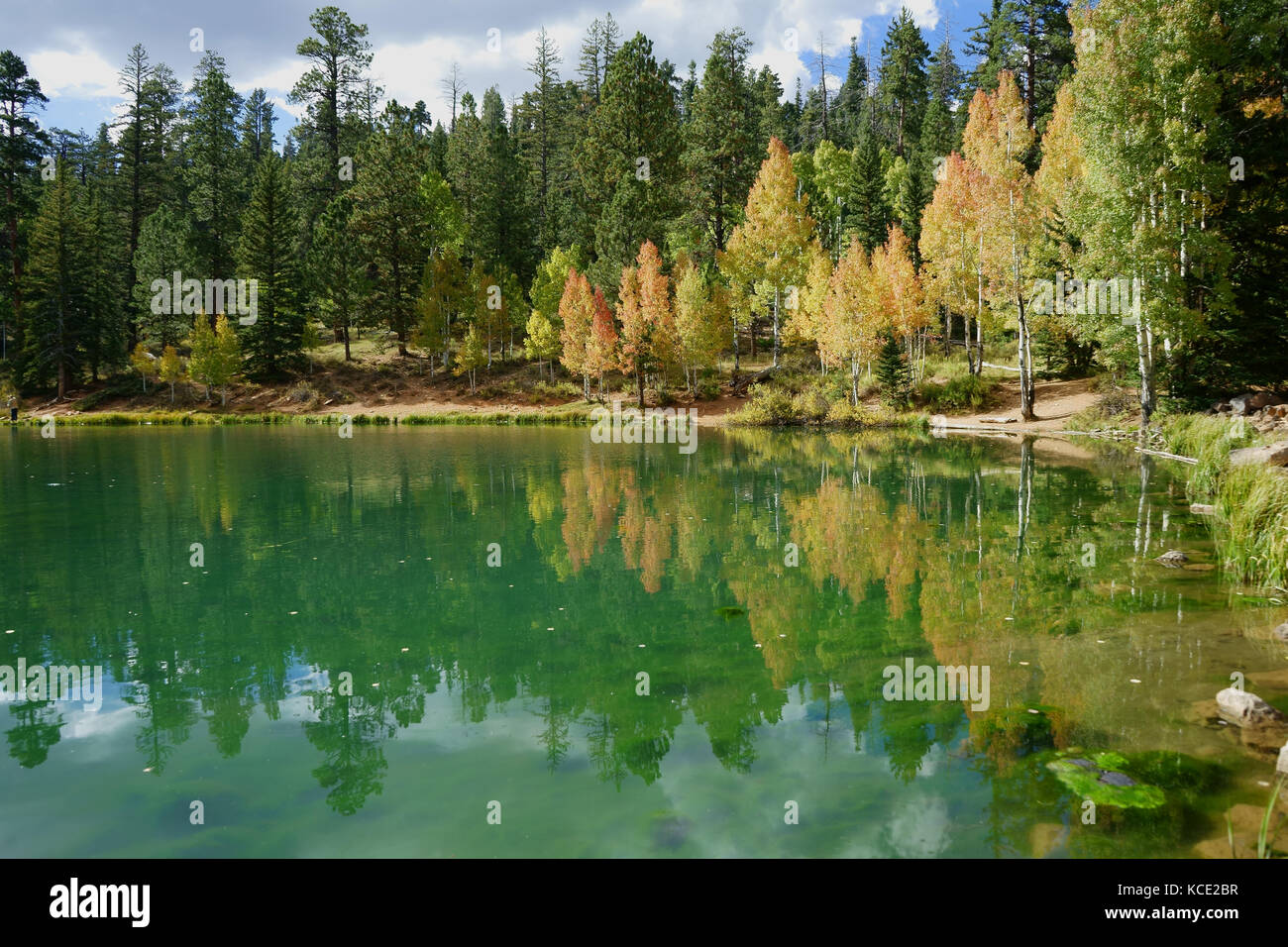 Aspen Mirror Lake, Dixie National Forest, Arizona, USAS Stockfoto