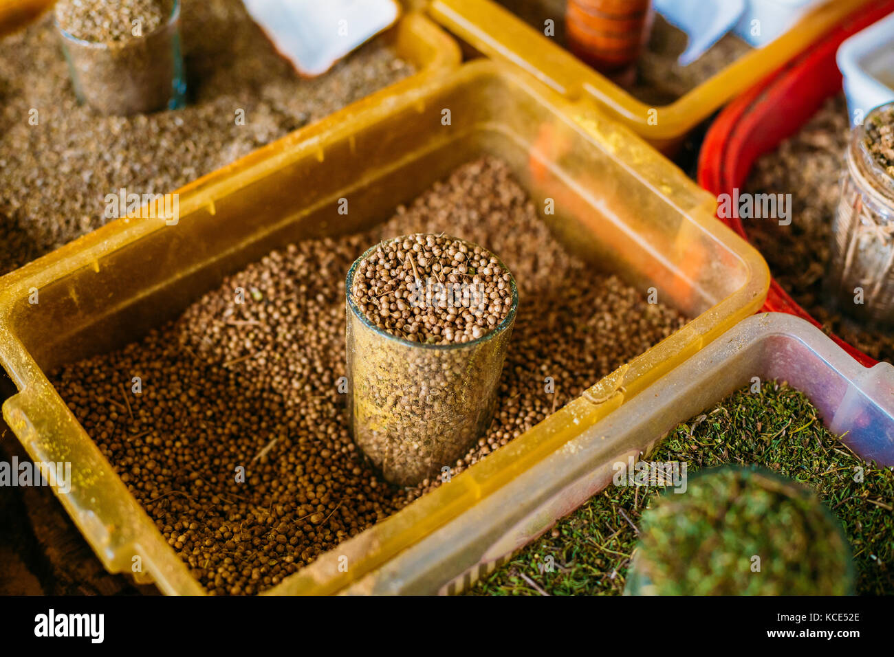 Schließen Sie das Glas voll getrockneten Koriander Früchte, Samen. beliebtes Gewürz Gewürze Gewürz in der Küche. Zum Verkauf im Osten Markt, Basar Stockfoto