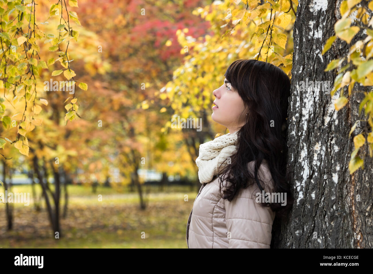 Mädchen mit dunklen lockigen Haar in der Nähe von einem Baum vor dem Hintergrund von Herbstlaub Stockfoto