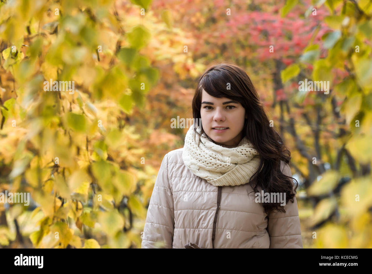 Mädchen mit dunklen lockigen Haar vor dem Hintergrund der im Herbst Laub Stockfoto