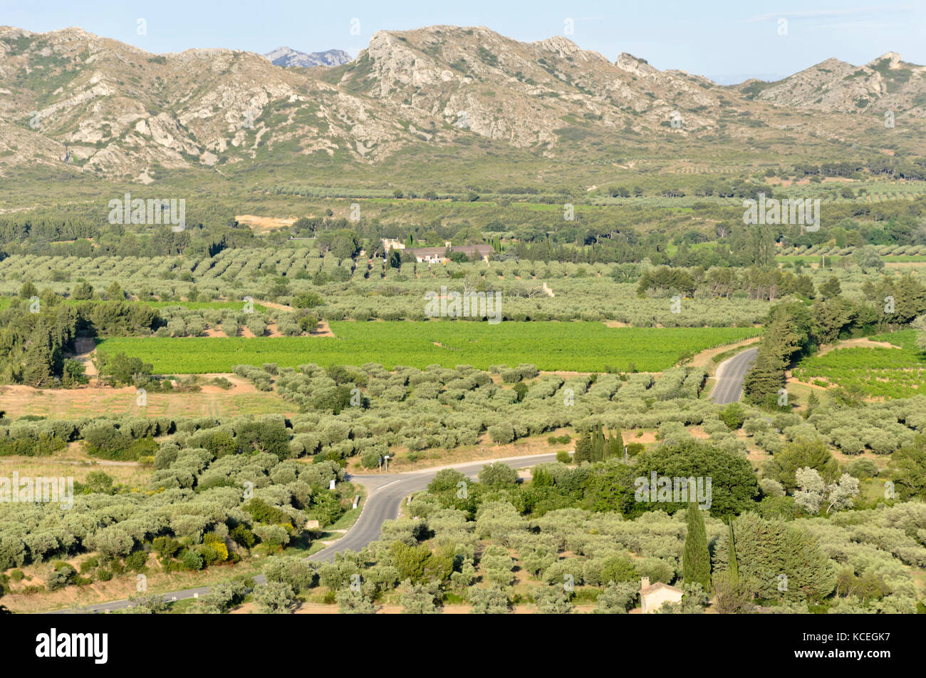Alpilles, Provence, Frankreich Stockfoto