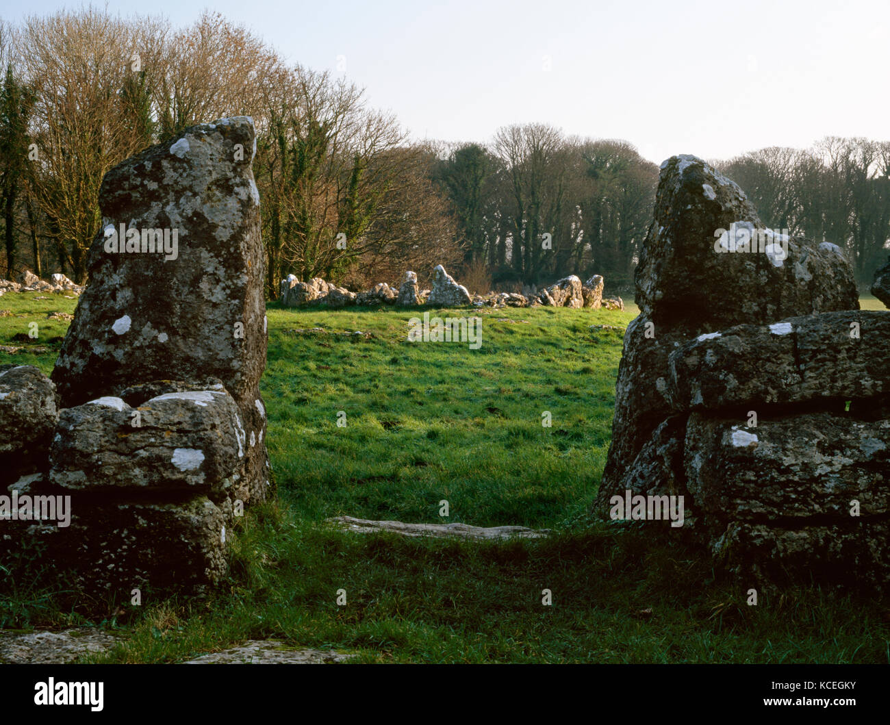 Din Lligwy Hütte Gruppe: suchen, native Britischen geschlossenen Siedlung. Die erheblichen Hauswand ist doppelt-enthäutet, aufrechten Kalkstein Platten&l gebaut Stockfoto