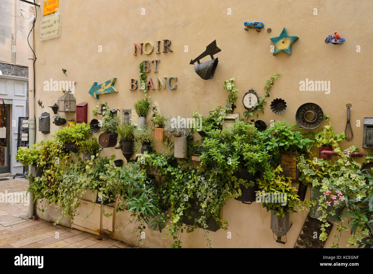Container garten und dekoration auf einer Hauswand, saint-remy-de-provence, Provence, Frankreich Stockfotografie