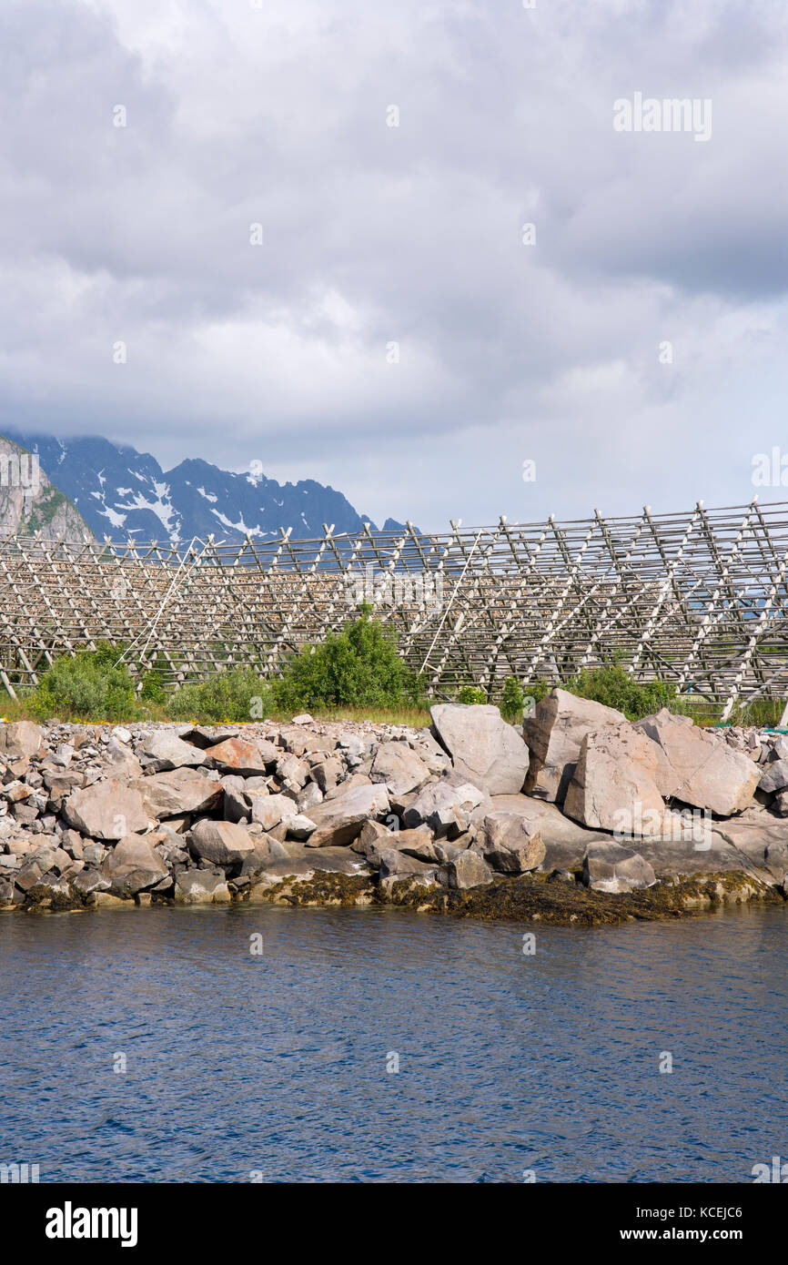 Übersicht von Regalen für die Trocknung Stockfisch im Lofoten in Norwegen Stockfoto