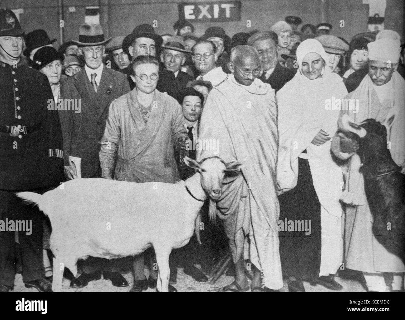 Mahatma Gandhi mit seinem Unterstützer, Madeleine Slade, und zwei Ziegen. Besuchen Sie London im Jahre 1931, während seiner Tour durch England. Mohandas Gandhi (1869 - 1948) war der bedeutendste Führer der indischen Unabhängigkeitsbewegung in Britisch - Indien regiert. Stockfoto