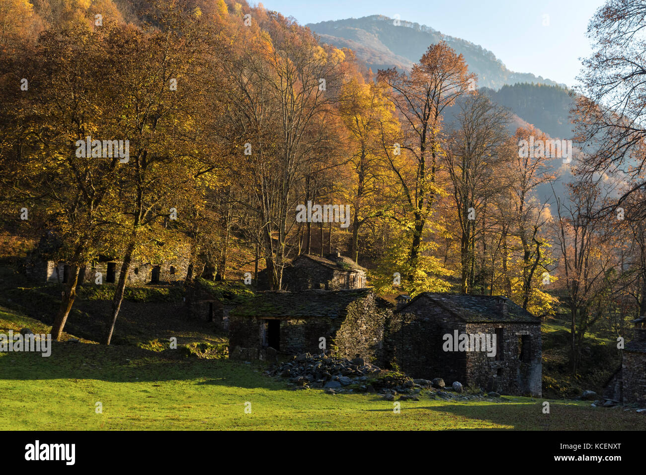 Herbst im Mulini di Piero, Curiglia con Monteviasco, veddasca Tal, Varese, Lombardei, Italien. Stockfoto