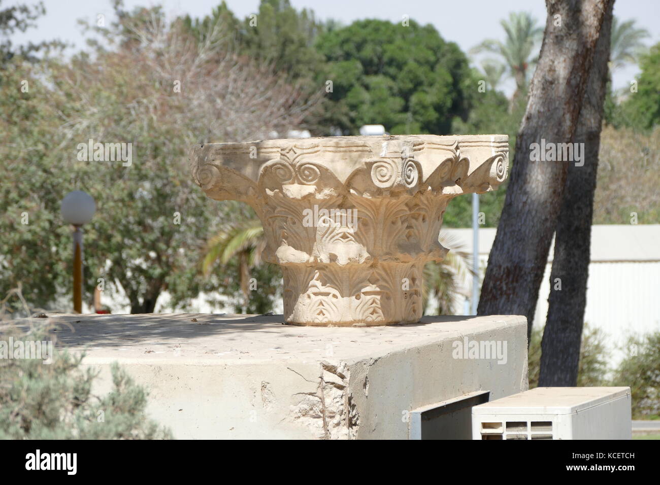 Jahrhundert AD, Römische korinthischen Stil capitol aus einer Säule in den Küstengebieten Israel gefunden Stockfoto