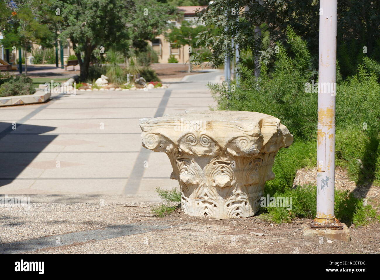 Jahrhundert AD, Römische korinthischen Stil capitol aus einer Säule in den Küstengebieten Israel gefunden Stockfoto