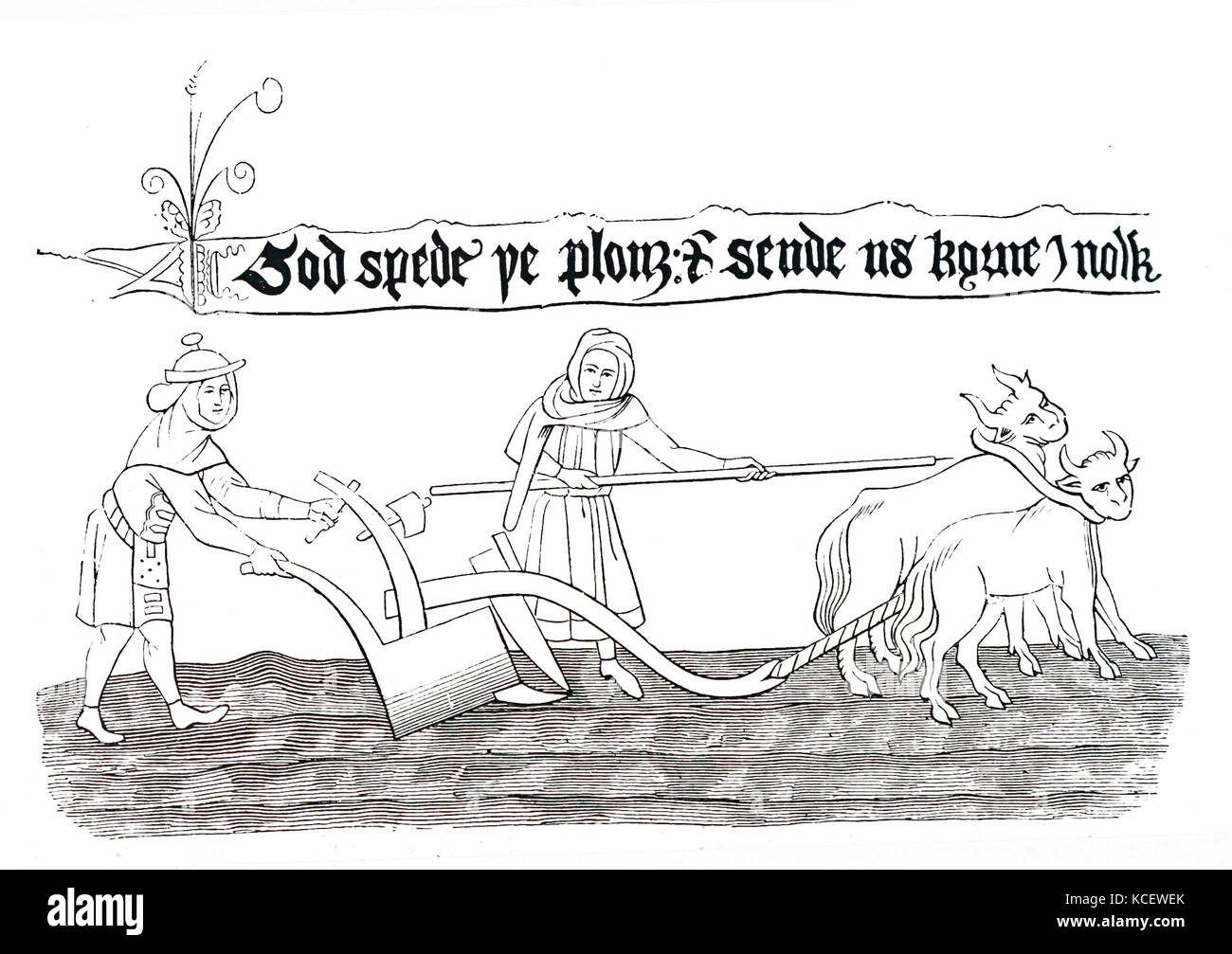 Abbildung: Darstellung Pflügen in den angelsächsischen Zeiten, mit dem Einsatz von Ochsen als Zugtiere. Vom 11. Jahrhundert Stockfoto