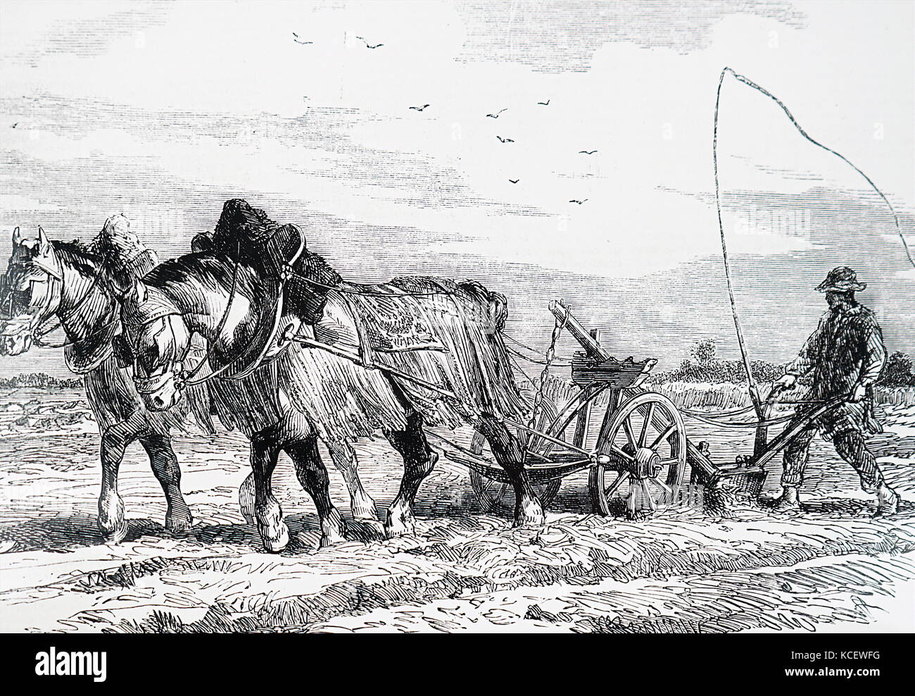 Gravur mit einem pferdefuhrwerk Pflügen zu Ernten in Frankreich genutzt werden. Vom 19. Jahrhundert Stockfoto