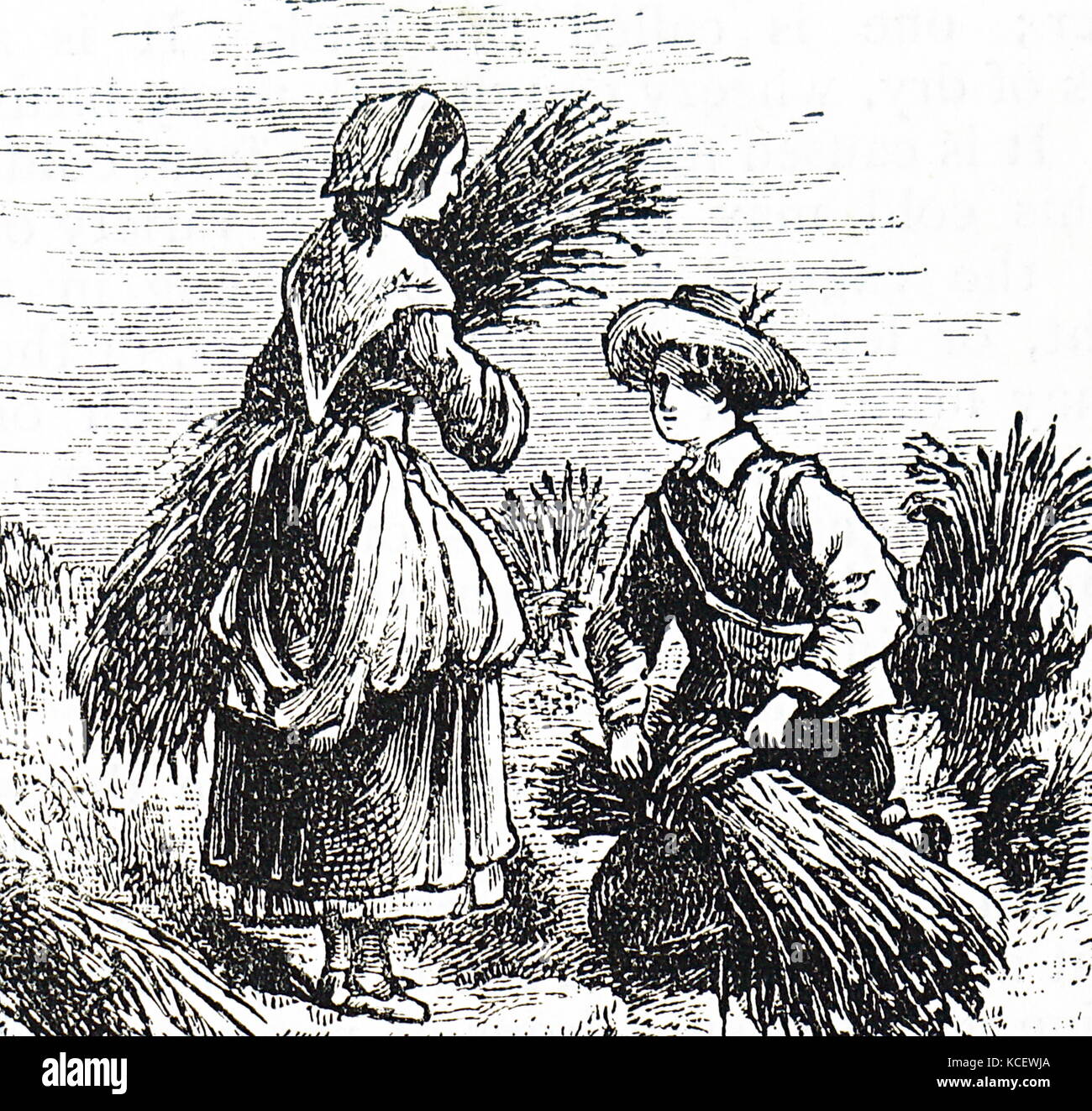Gravur, die landwirtschaftlichen Arbeitskräfte binden Getreide in Garben. Vom 19. Jahrhundert Stockfoto